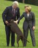 Bill and dog.jpg