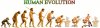 human_evolution.jpg