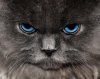Upset Eyes.jpg