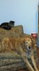 20170328_091014.jpg