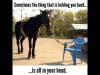 IMG_0573.PNG