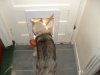 puppy 3 009.jpg