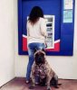 ATM 3.jpg