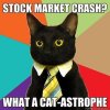 Business-Cat-Funny.jpg