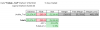 2018-10-05_084835 Performance.png