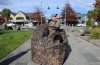 wanaka_sports_shop_owner_mark_sanders_demonstrates_55436a08ce.JPG.jpg
