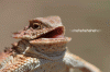 DBDE7ACF-9AB7-440C-95D6-CAC60A063FD3.gif