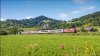 rail germany bavaria.jpg