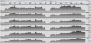 2020-05-15_17-24-29.png