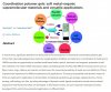 polymer gels LMWG.jpg