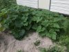 CA23C027-2872-4CF0-BCEB-49C1B0224522.jpeg
