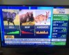 kangaroo.jpg
