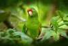 upload_2020-7-3_11-26-17.jpeg