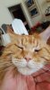 20160902_165256.jpg