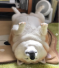20231019.PNG