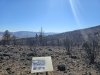 20241003_115132.jpg