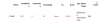 upload_2025-5-28_12-5-50.png