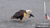 upload_2025-7-3_20-35-32.gif