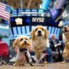 random_dog_breeds_on_the_nyse_trading_floor_working_3960567284.png