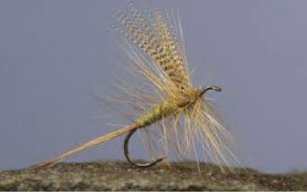 dryfly