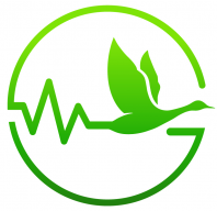 Ganalytics