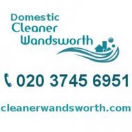 wandswclean