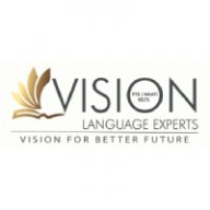 visionlanguageexperts